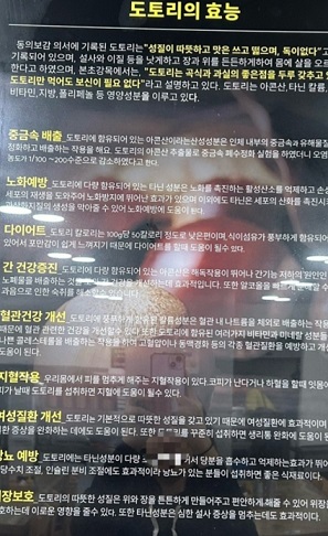 도토리의효능