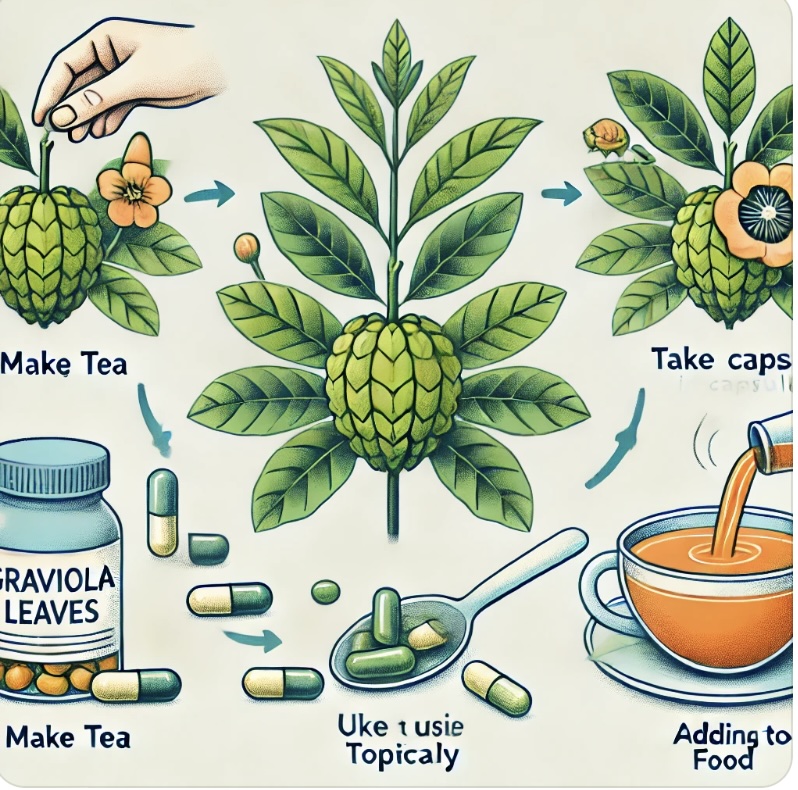 그라비올라잎 효능: 자연의 건강 비법