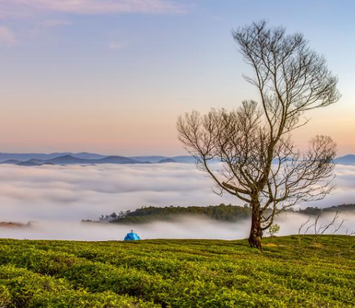주말 인사말 문구 모음