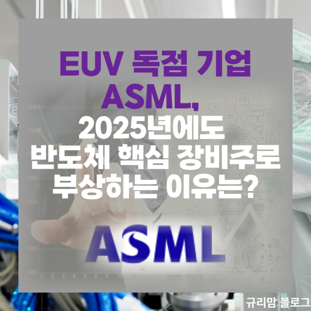 EUV 독점 기업 ASML 반도체핵심장비주