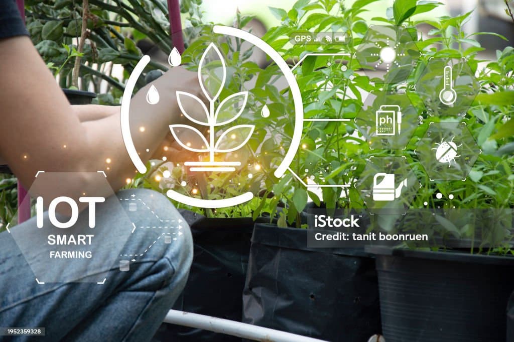 IOT를 활용한 스마트가드닝 기술