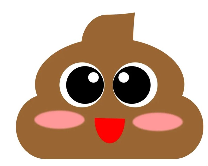 똥 이미지