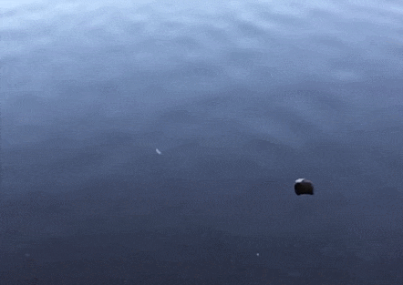 물방울의 낙하 충격이 표면 잠식하는 메커니즘 세계 최초 규명 VIDEO: New study solves mystery of how soft liquid droplets erode hard surfaces