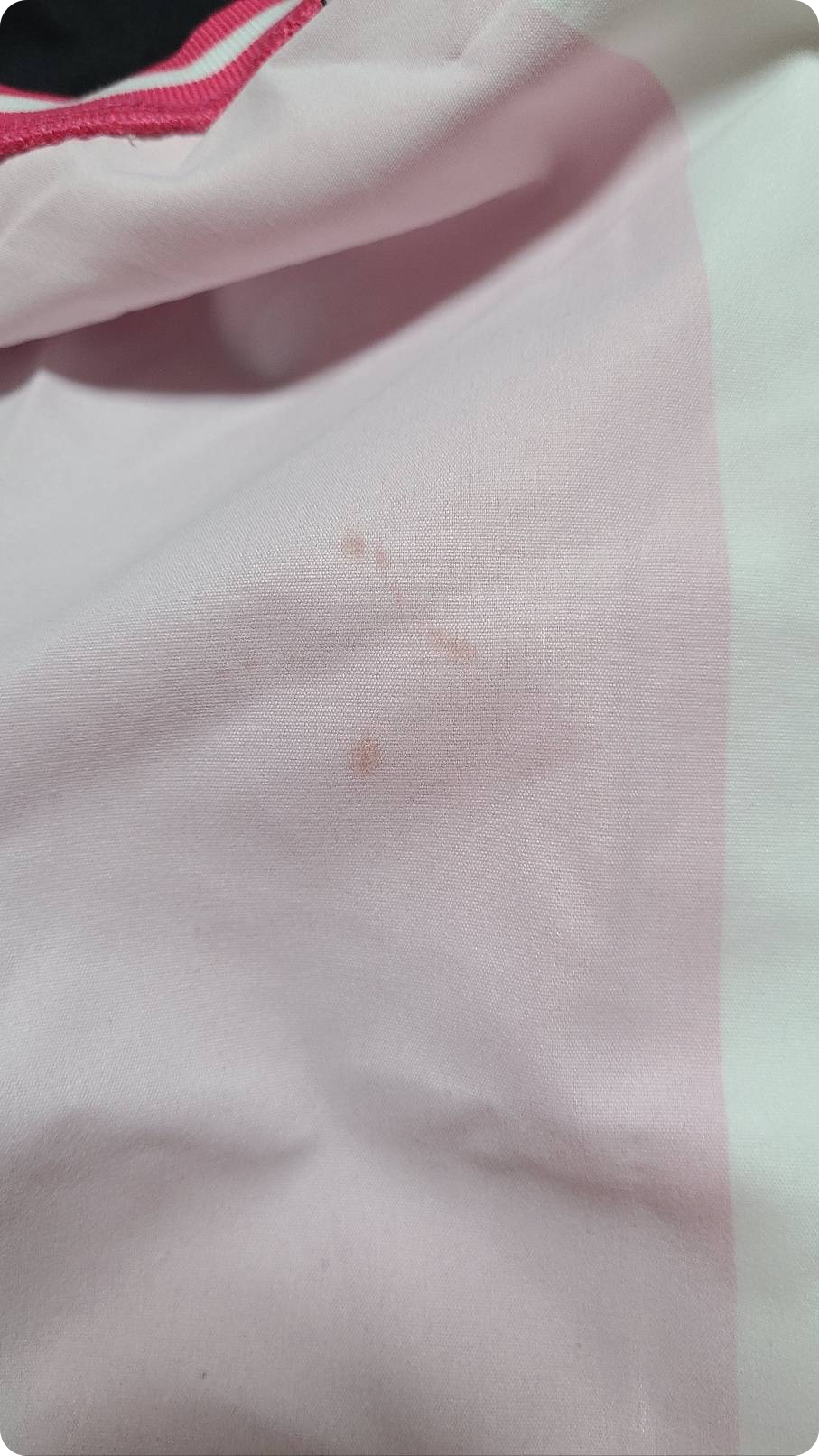 테무쇼핑 구매후기