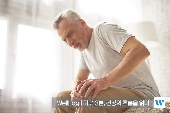 난각막가수분해물 효능, 복용법