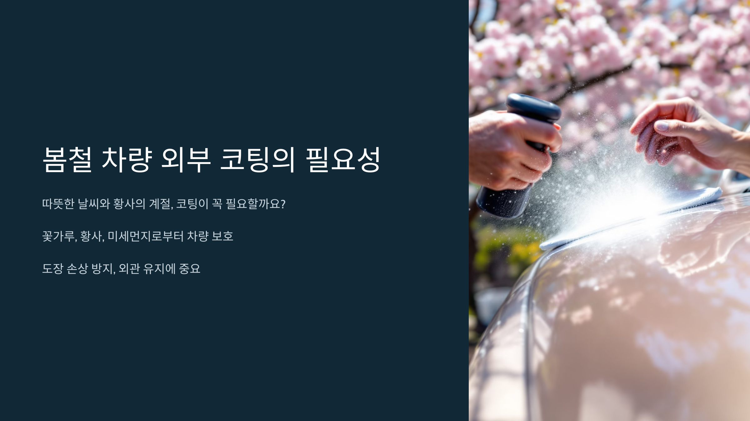봄철 차량 외부 코팅의 필요성