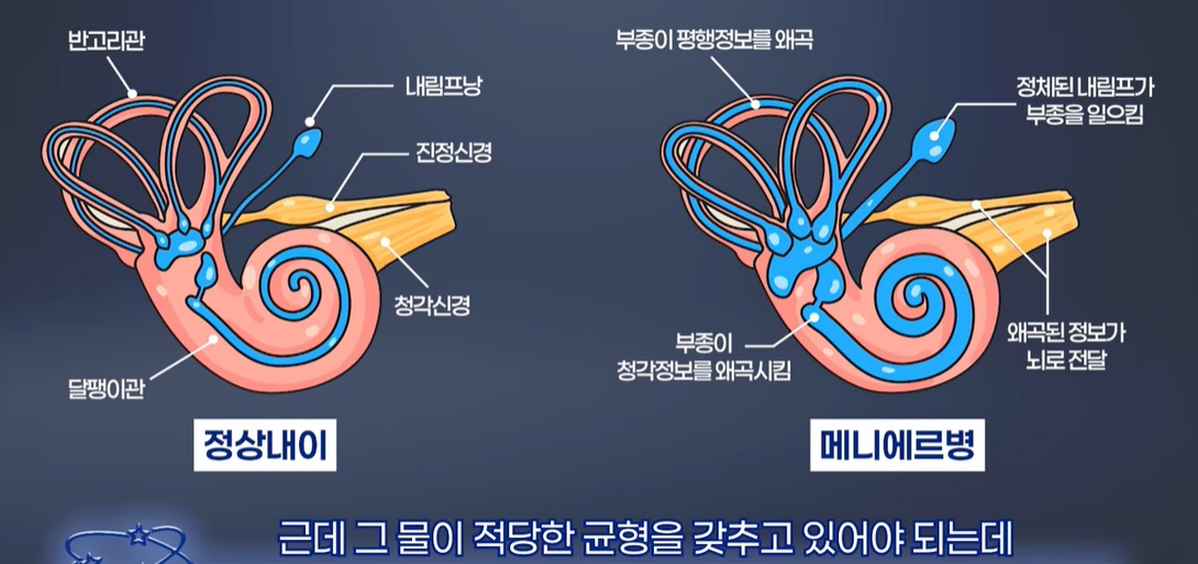 이비인후과-명의-서재현-의사