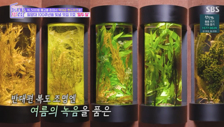 동네멋집2 역대 최대규모 밀양 멋집