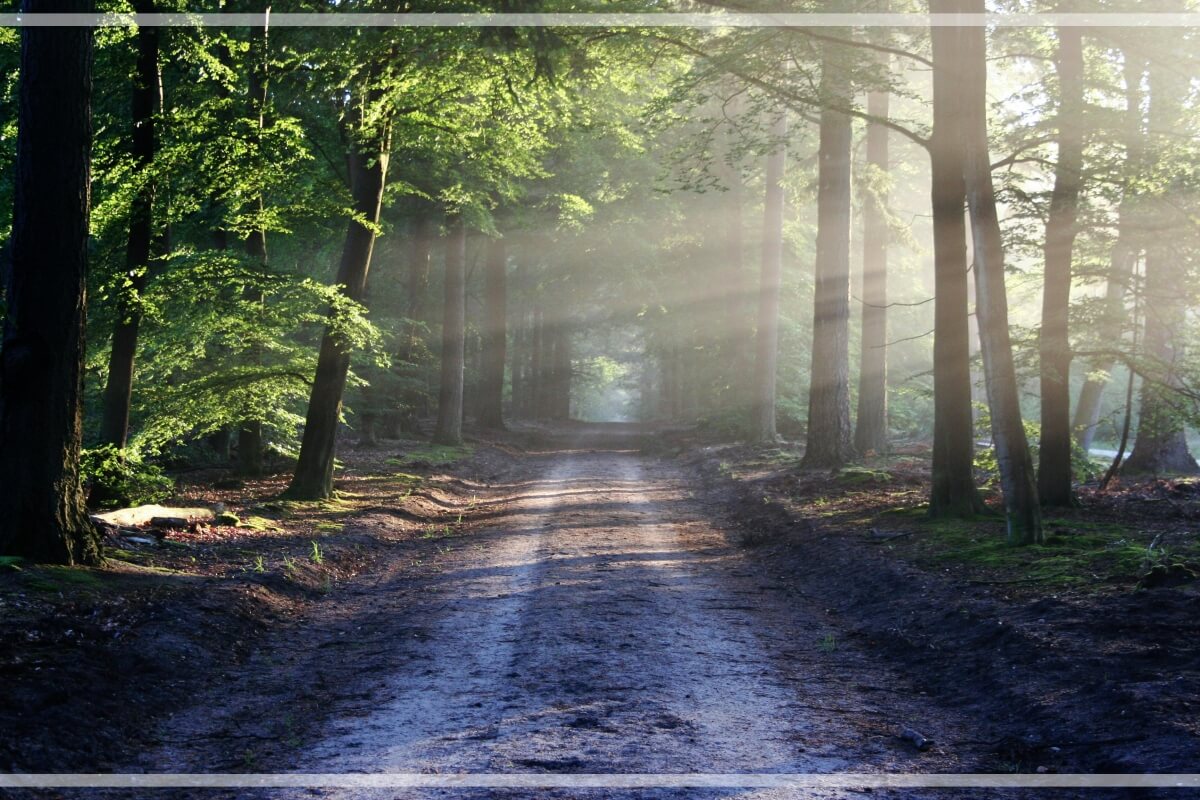 자기이해로 찾는 중년의 길 (성격유형, 강점분석, 삶의방향) 관련 사진