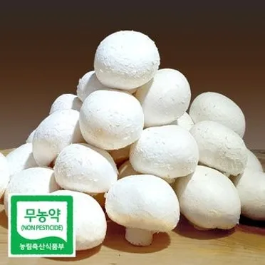 양송이버섯 제철 손질법과 볶음 요리 보관까지 전부 알려드립니다_4