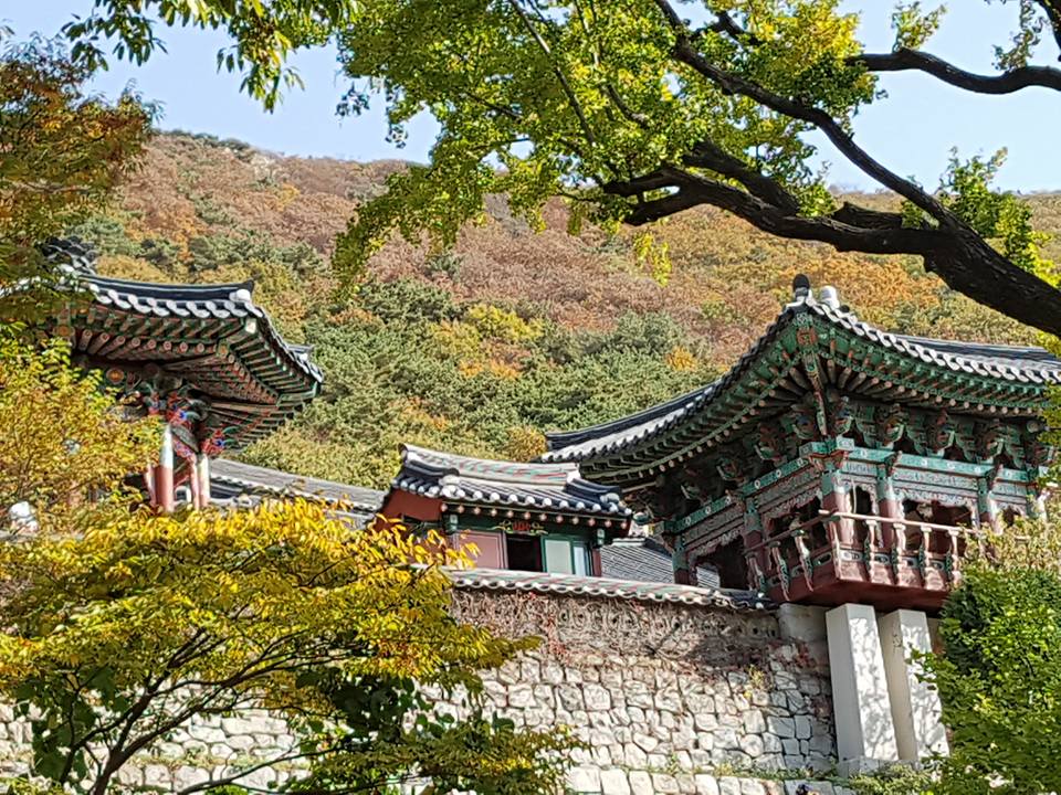 인천 강화 보문사 – 바위 속 불상과 마주하는 절절한 기도