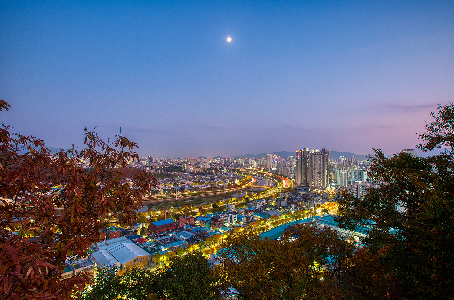 침산공원 야경