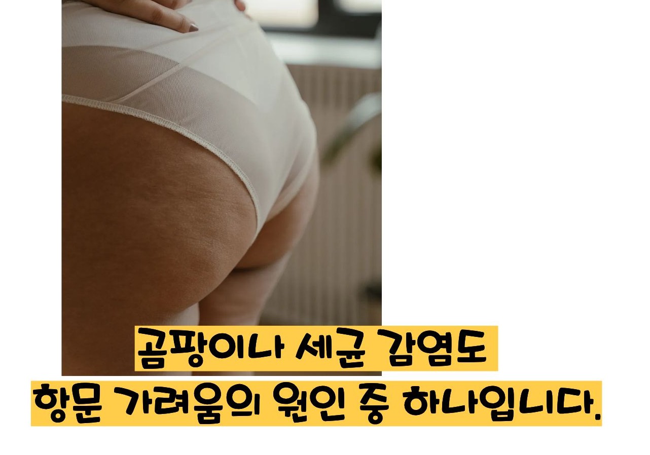 항문이 가려운 이유