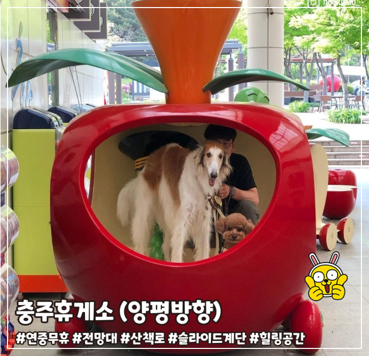 반려견휴게소
