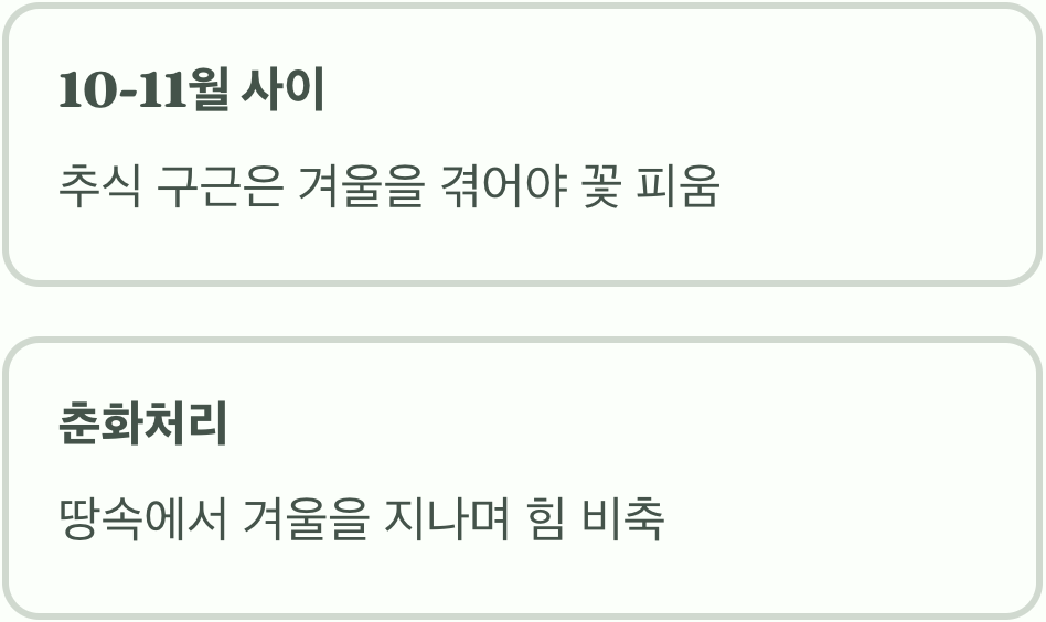 지금이 바로 '황금 시간대', 가을에 심기