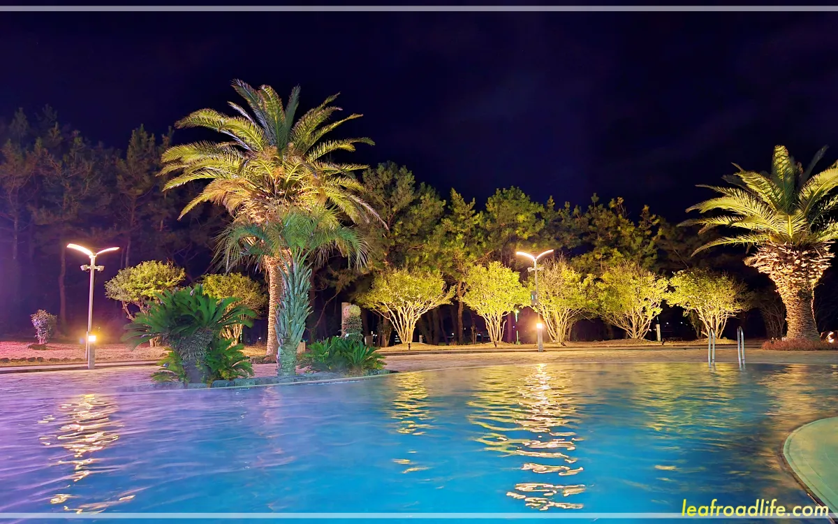 제주-휘닉스-아일랜드-사계절-실외수영장-야자나무-조경-멋진-조명