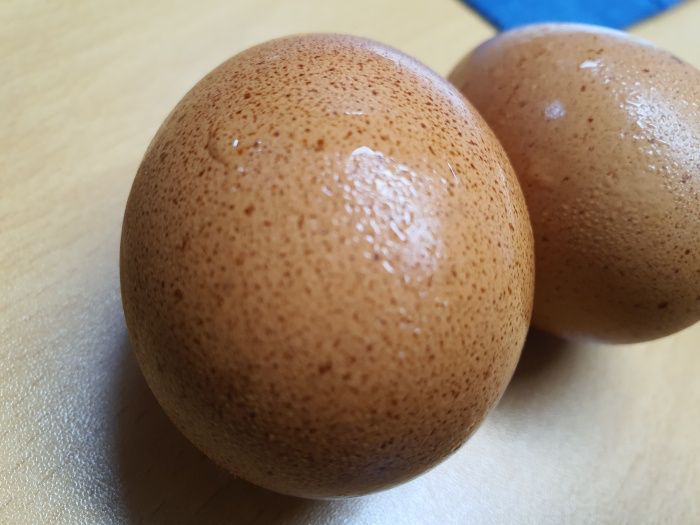 삶은계랸-두개