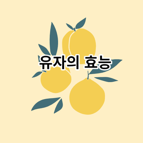 유자의-효능