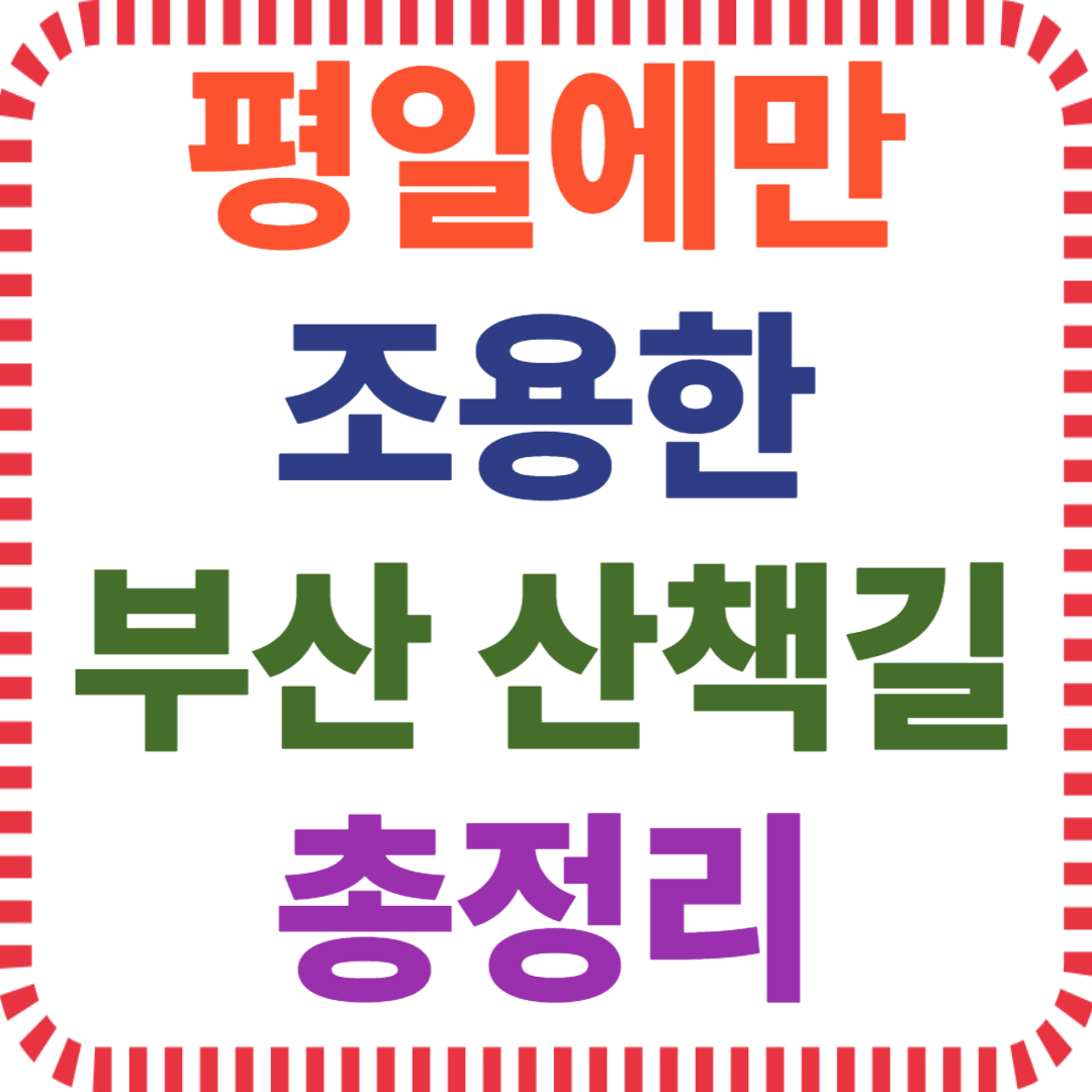 부산 산책, 평일 전용 명소, 조용한 부산 코스, 부산 힐링 산책, 지역민 추천 장소, 한적한 산책길, 부산 평일 전용, 평일 산책 스팟, 부산 숨은 코스