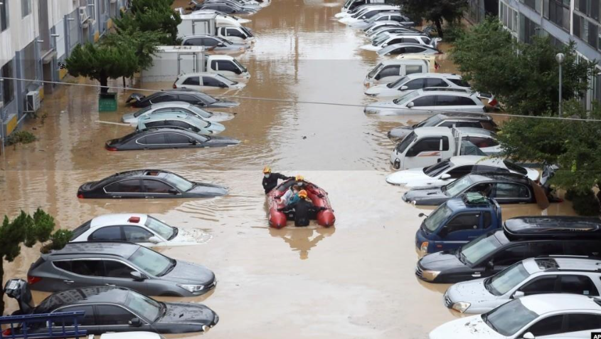 새우니 유래와 전설 비교