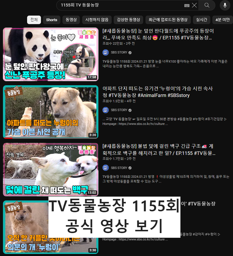 TV동물농장_1155회