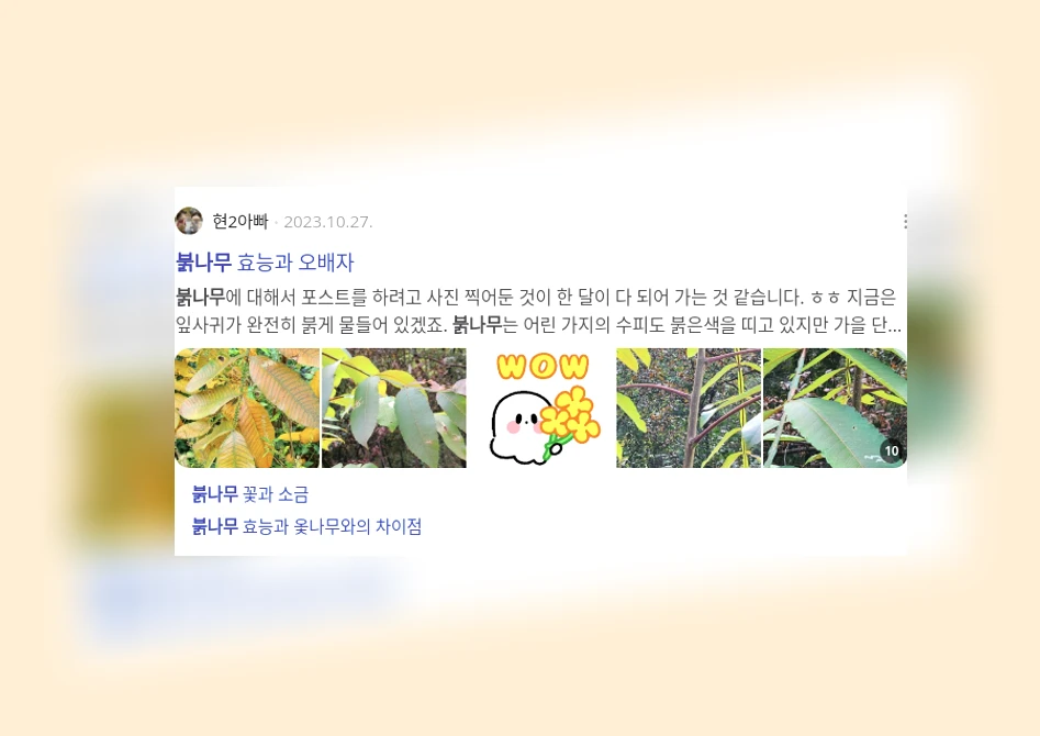 붉나무_2_subsection