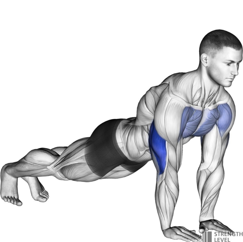 팔굽혀펴기 효과