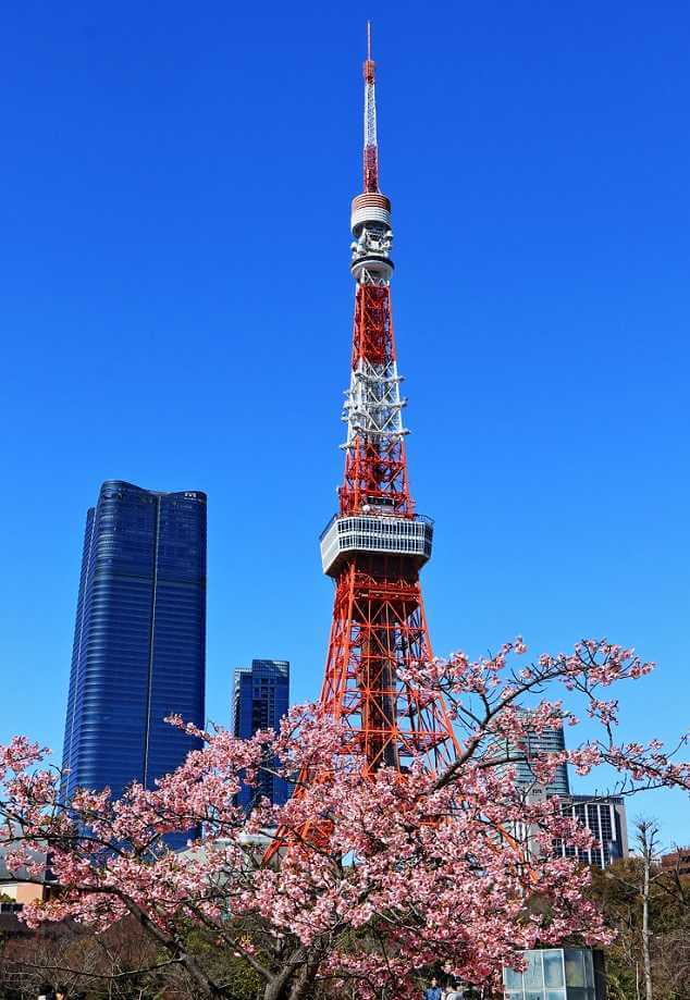 시바공원 도쿄타워