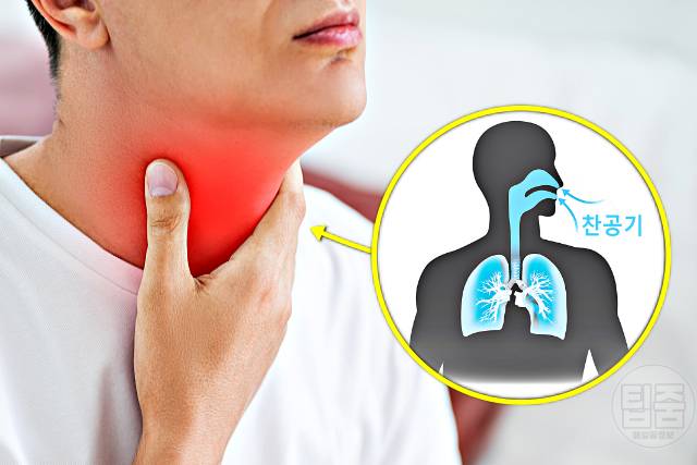 기관지에 좋은 음식 목 칼칼 목이 간질간질