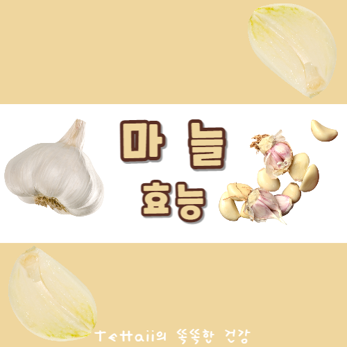 마늘 효능 대표