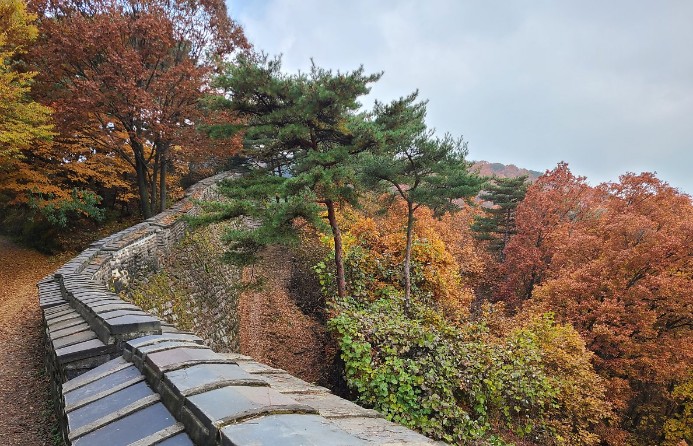 [국내가을여행지추천] 단풍명소 - 경기도 가을 여행지 추천 남한산성