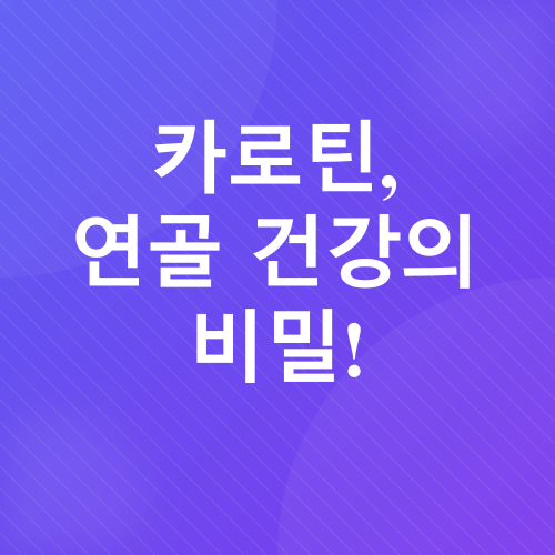 관절 건강_3