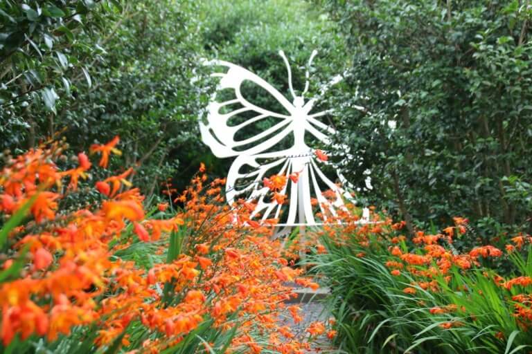 1004섬 분재정원 2025 크로코스미아 꽃축제 사진