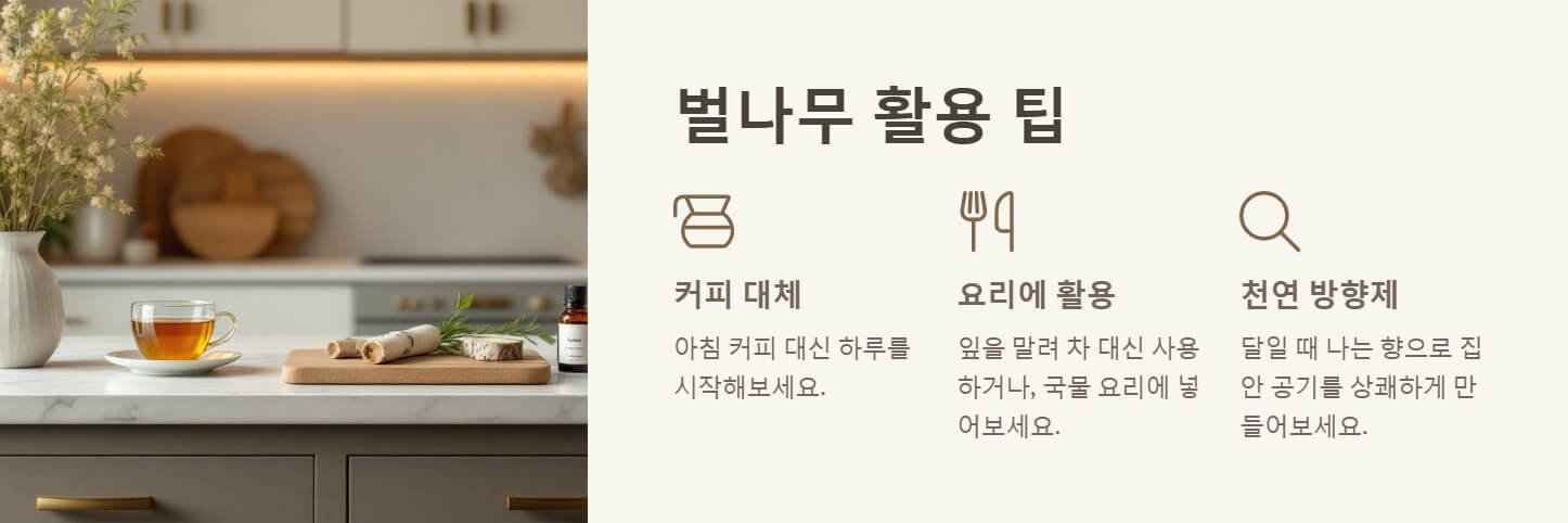 벌나무 효능 끓여먹는 방법