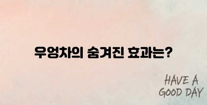 우엉차 효능 부작용