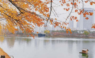 2023 단풍열차기차여행추천