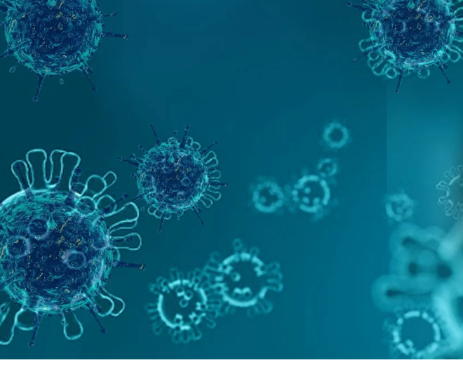성인간호학 전염병 관리와 예방, 전염병의 특성과 확산 메커니즘, 관리의 효율적인 전략, 기술의 활용과 글로벌 협력