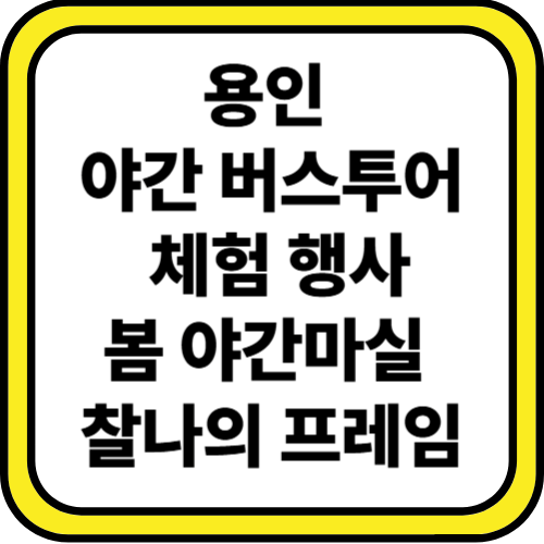 용인 야간마실 버스투어 체험