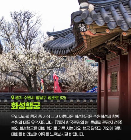 [봄꽃구경] 서울 근교 봄나들이 갈만한 곳 화성행궁