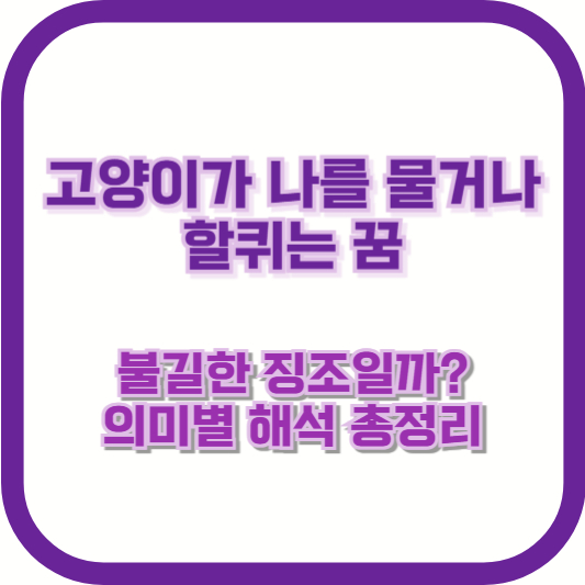 고양이가 나를 물거나 할퀴는 꿈, 불길한 징조일까? 의미별 해석 총정리