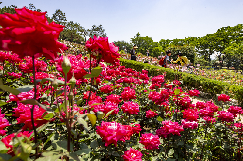 인천광역시 등산로종합안내도 계양산 천마산 둘레길