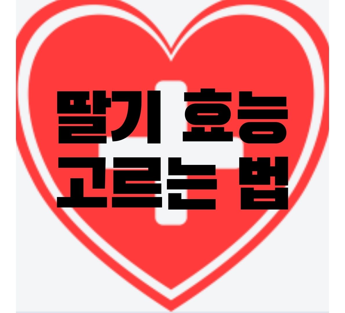 딸기-효능-고르는법