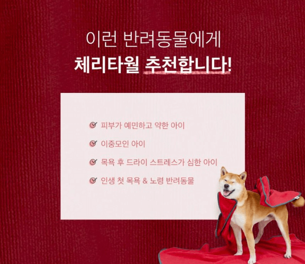 강아지 타올