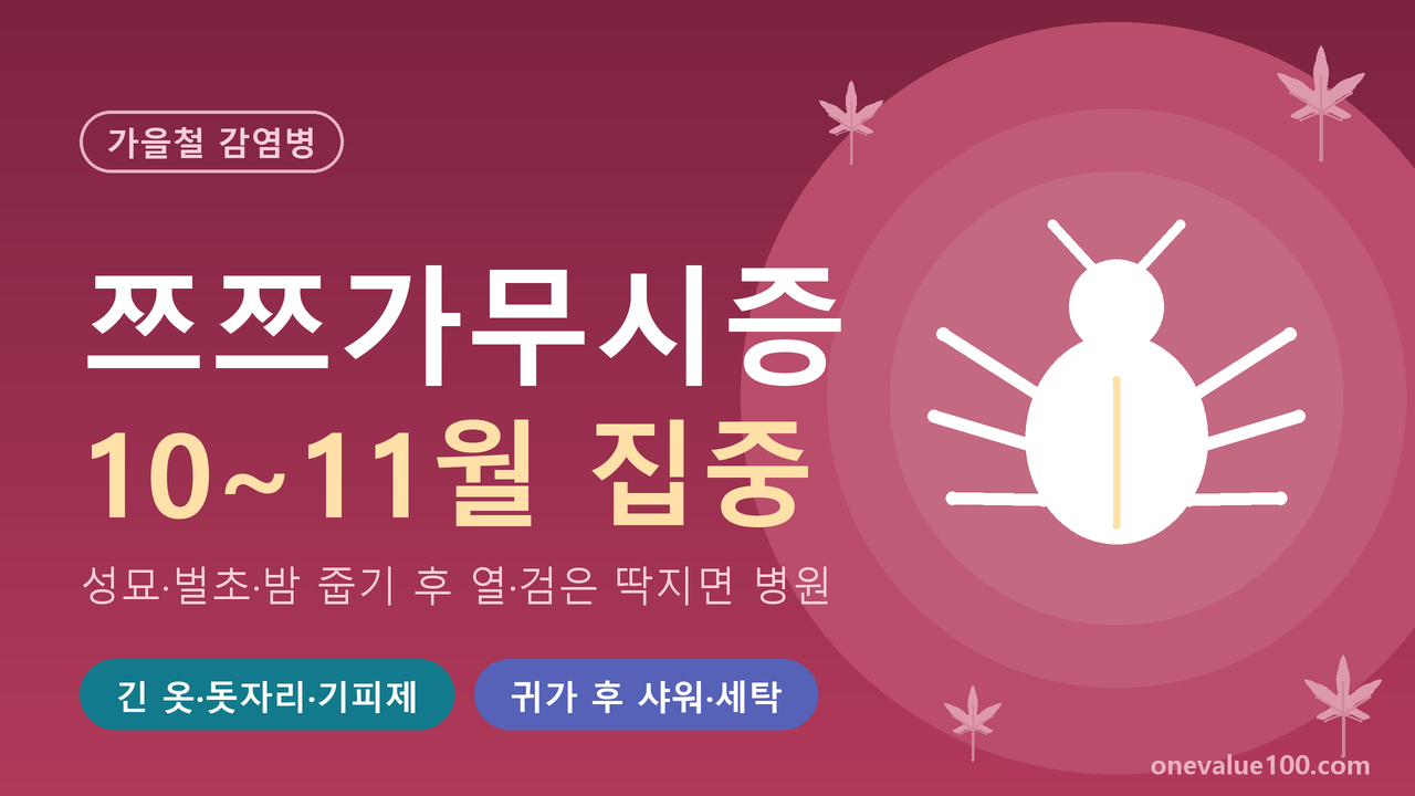 쯔쯔가무시증 10~11월에 몰리는 이유, 성묘&middot;밤 줍기 후 증상이면 병원