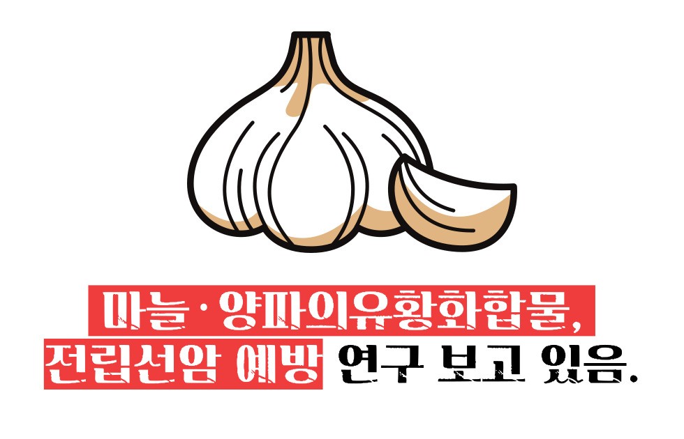 전립선암에 좋은 음식