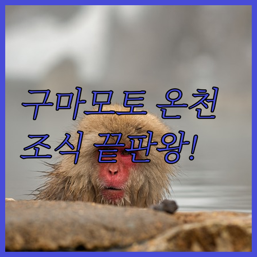 일본 구마모토 시내 호텔 온천 있고 ..