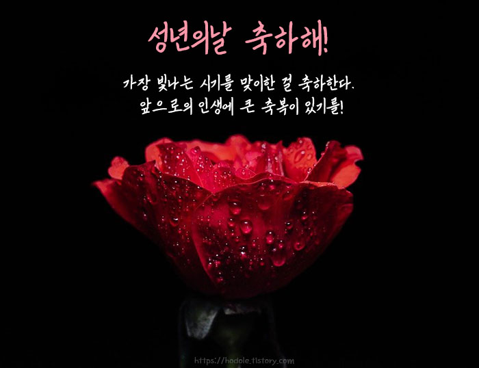 네가참좋아