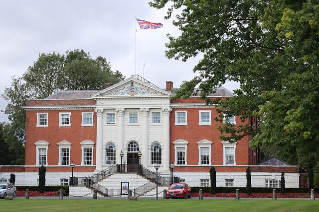 🏠 봄 이사 꿀팁! 실수 없이 완벽하게 준비하는 법