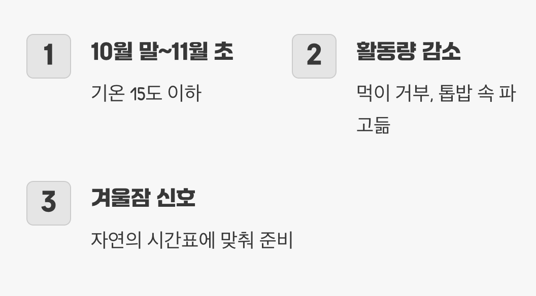 겨울잠 재우기&amp;#44; 최적의 타이밍