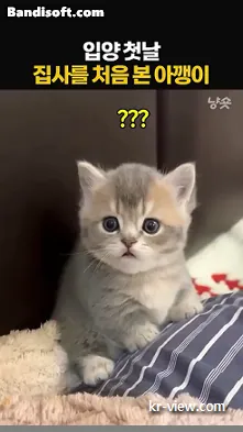 img.webp?credential=yqXZFxpELC7KVnFOS48ylbz2pIh7yKj8&expires=1767193199&allow_ip=&allow_referer=&signature=GQ%2F39UgOqSSFkkmBm5TWSilsjD8%3D